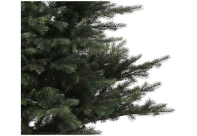 Grandis Fir Tree Green 8ft 240cm (681453)