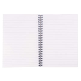 Pukka B5 Metallic Jotta Notebook (8520-MET)