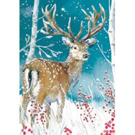 Winter Wildlife Big Value Cards 24's (LXBV0001)