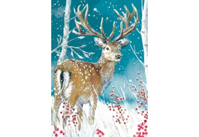 Winter Wildlife Big Value Cards 24's (LXBV0001)