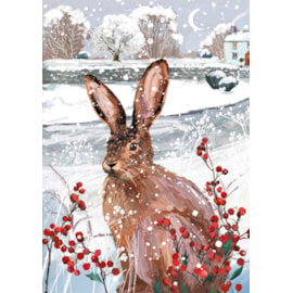 Winter Wildlife Big Value Cards 24's (LXBV0001)