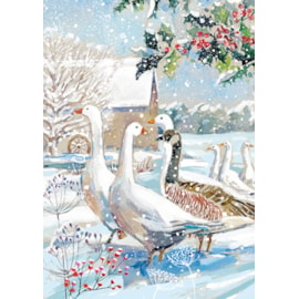 Winter Wildlife Big Value Cards 24's (LXBV0001)