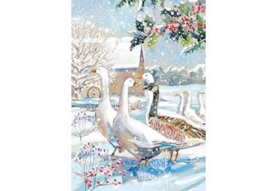 Winter Wildlife Big Value Cards 24's (LXBV0001)