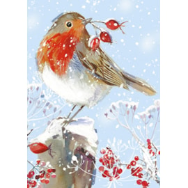 Winter Wildlife Big Value Cards 24's (LXBV0001)