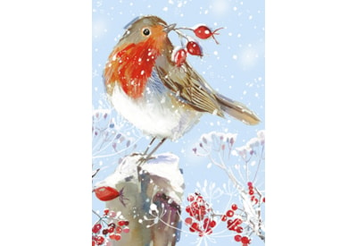 Winter Wildlife Big Value Cards 24's (LXBV0001)