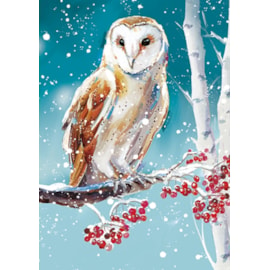 Winter Wildlife Big Value Cards 24's (LXBV0001)