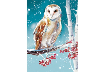 Winter Wildlife Big Value Cards 24's (LXBV0001)