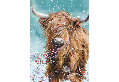 Winter Wildlife Big Value Cards 24's (LXBV0001)