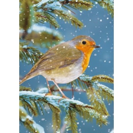 Ling Design Christmas Animals Big Value Cards 24's (LXBV0005)