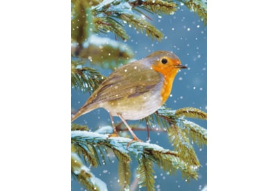 Ling Design Christmas Animals Big Value Cards 24's (LXBV0005)