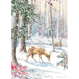 Ling Design Snowy Christmas Big Value Cards 24's (LXBV0006)