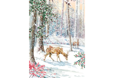 Ling Design Snowy Christmas Big Value Cards 24's (LXBV0006)