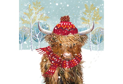 Cosy Highland Cow Sml Premium Cards 10's (LXPD0001)