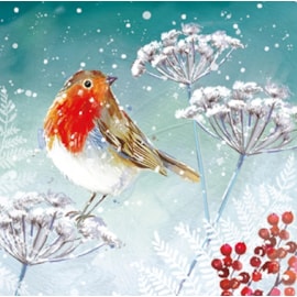 Christmas Charity Wildlife Set E Cards 6's (RCX24_E6)