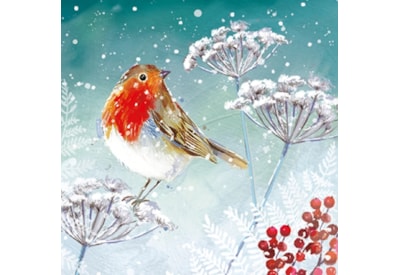 Christmas Charity Wildlife Set E Cards 6's (RCX24_E6)