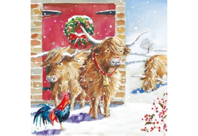 Christmas Charity Wildlife Set E Cards 6's (RCX24_E6)