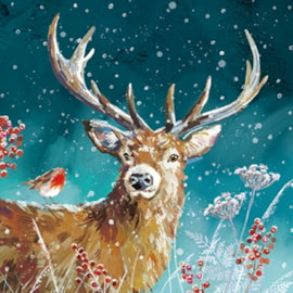 Christmas Charity Wildlife Set E Cards 6's (RCX24_E6)