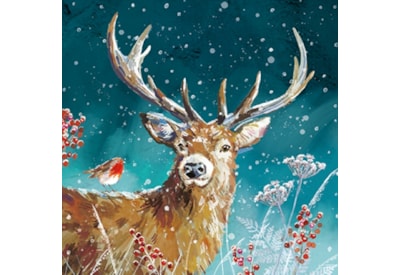 Christmas Charity Wildlife Set E Cards 6's (RCX24_E6)