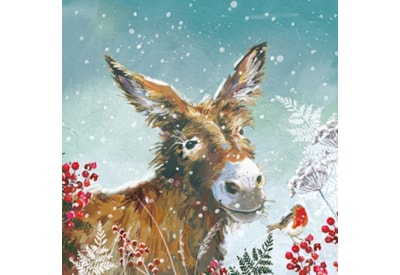 Christmas Charity Wildlife Set E Cards 6's (RCX24_E6)