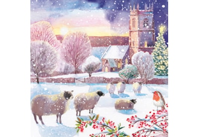 Christmas Charity Wildlife Set E Cards 6's (RCX24_E6)