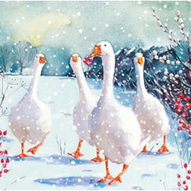 Christmas Charity Wildlife Set E Cards 6's (RCX24_E6)