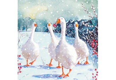 Christmas Charity Wildlife Set E Cards 6's (RCX24_E6)