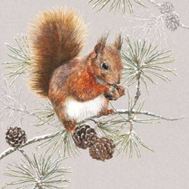 Ambiente Napkin Squirrel In Winter 33cm (33313445)