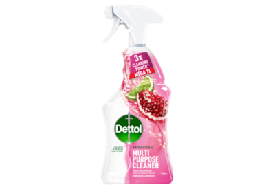 Dettol Power & Fresh Pomegranate Spray 1lt (25082)