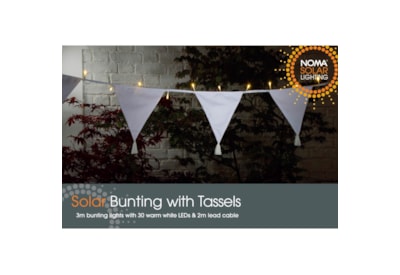 Bunting With Tassels (2522059)