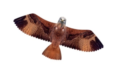 Brookite Red Kite Kite (30039)