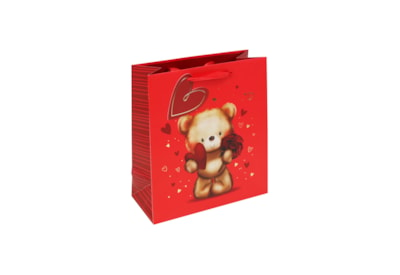 Valentines Cute Bear Gift Bag Medium (34843-3C)