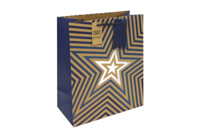 Kraft Blue Stars Gift Bag Large (34966-2C)