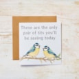 Blue Tits Humour Card (4BB300)