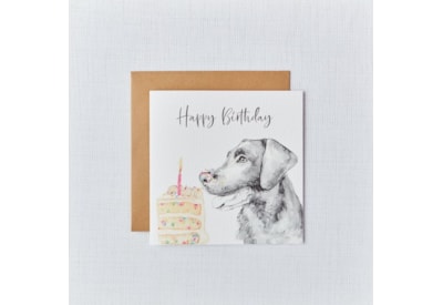 Labrador Dog Birthday Card (4DG337)