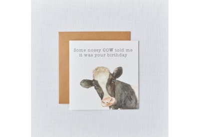 Some Nosey Cow Card (4FL570)