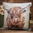 Richard Lang Dougal Highland Cow Velour Cushion (4HD103)