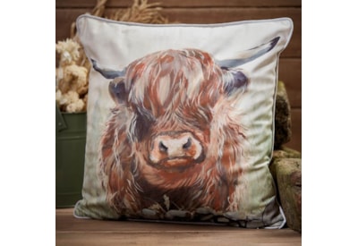 Richard Lang Dougal Highland Cow Velour Cushion (4HD103)