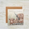 Dougal Highland Cow Herd Birthday Card (4HD153)