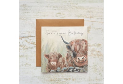 Dougal Highland Cow Herd Birthday Card (4HD153)