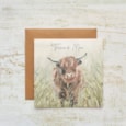 Dougal Highland Cow Thank Moo Birthday Card (4HD154)