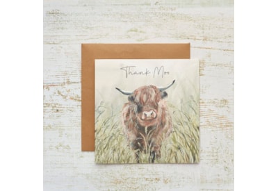 Dougal Highland Cow Thank Moo Birthday Card (4HD154)