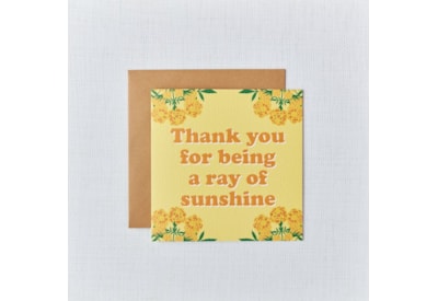 Ray Of Sunshine Thank You Card (4HT903)