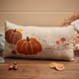 Richard Lang Autumn Pumpkin Cushion (4HW431)