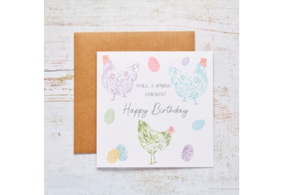 Spring Chicken Birthday Card (4SE140)