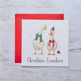 Quackers Duck Christmas Card (4XS0083)