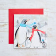 Penguin With Scarves Christmas Card (4XS0232)