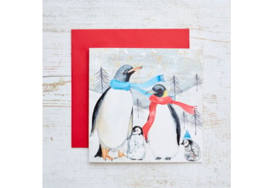 Penguin With Scarves Christmas Card (4XS0232)