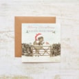 Special Friend Christmas Card (4XS0423)