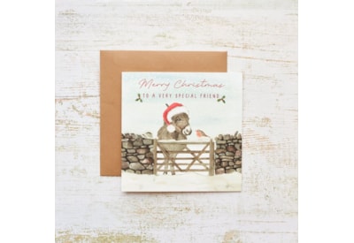 Special Friend Christmas Card (4XS0423)