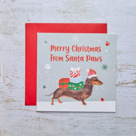 Dachshund Dog With Presents Christmas Card (4XS784)